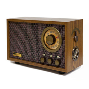 R301 라디오